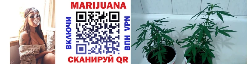 Купить наркотик Мариинский Посад MDMA  APVP  Каннабис  hydra рабочий сайт  Cocaine  Меф мяу мяу 