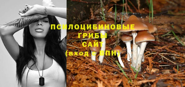герыч Аркадак